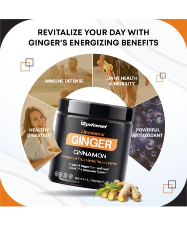 Liposomal Ginger with Cinnamon Peppermint Turmeric & Black Pepper Supports Digestive Wellness & Immune Health -150 Capsules 150 count (pack of 1)_ - Buy Online on GoSupps.com