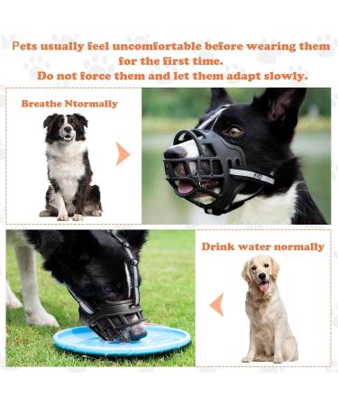 Breathable Basket Muzzle for Large Dogs | Adjustable Dog Muzzle for Barking & Biting Prevention (M: 31-35 cm) - Buy Online on GoSupps.com