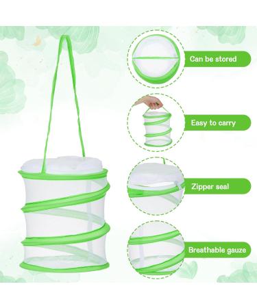 WUISOLQP Insect Butterfly Habitat Cage - Portable Collapsible Bug Catcher Net for Kids - Science Education Starter Kit (Green) - Buy Online on GoSupps.com