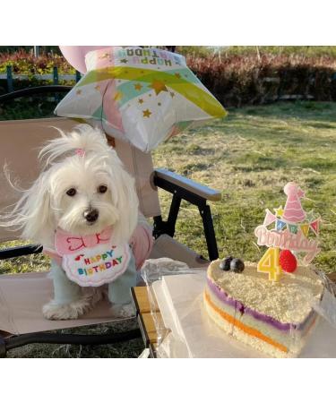 Cat Birthday Outfit Set: Pink Scarf Party Hat & Bibs - Perfect Pet Birthday Decorations - Buy Online on GoSupps.com