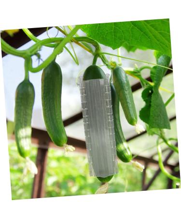 OFFSCH 2pcs Melon and Fruit Shaping Mold Cucumber Growing Cucumber Forming Shape Cucumber Heart Shape Heart Shaped Cucumber Star Mold Cucumber Shaping Molds Rigid Plastic Gourd - Buy Online on GoSupps.com