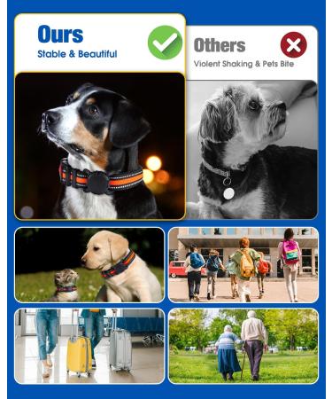 Dog Tracker No Monthly Fee Cat Tracker Key Finder(Only iOS) Anti-Lost Tracking Device FinderTag for Kids Bluetooth Tracker Tag with Silicone Cover for Pet Collar Wallet Luggage School Bag Strap Tracker-M - Buy Online on GoSupps.com