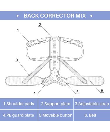 Back Corrector for Spinal Support | Fix Kyphosis & Osteoporosis | Large Size for Effective Correction - Buy Online on GoSupps.com