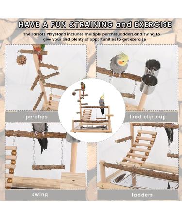 Wishesmar WellensiTich Playground for Nymphensittich Parrots - Climbing Swing Feeder-Cup Toy Ladder & Tray - Wooden Playset 45x37x26 cm #a wood 001 - Buy Online on GoSupps.com