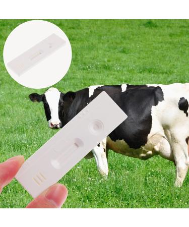 Beaupretty Cow Pregnancy Test Strip - Accurate Sheep & Cattle Pregnancy Detection | Farm Animal Supplies - Buy Online on GoSupps.com