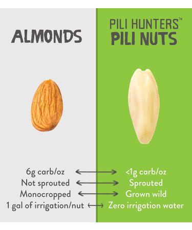 Pili Hunters Coconut Oil & Himalayan Salt Pili Nuts - Keto Snacks for Low Carb Energy - Gluten Free Superfood - 5oz Pack - No Sugar Added - As Seen on Shark Tank - Buy Online on GoSupps.com