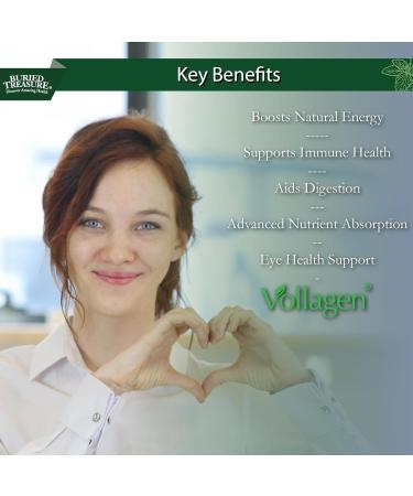 Buried Treasure Green20 Fusion Superfood Blend with Vollagen for Skin, Hair, and Joint Support, Plant-Based, Vegan, Non-GMO Gluten-Free, Dairy-Free, Soy-Free, 32oz Liquid - Buy Online on GoSupps.com