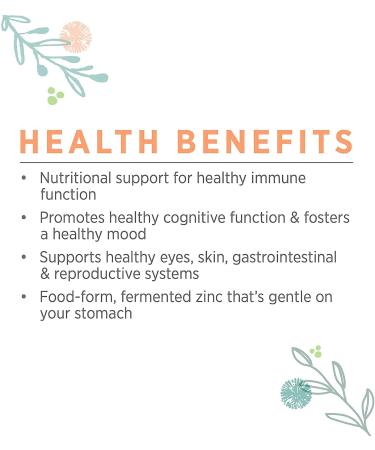 Pure Synergy Zinc Complex - 60 Capsules - Organic Zinc Supplement with Fruit, Vegetables, and Mushrooms - Non-GMO & Vegan - Buy Online on GoSupps.com