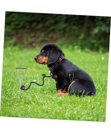 Buy Angoily Stainless Steel Dog Clutch Belt - 2-Piece Metal Binder Set (42x8.5x4cm) - Durable Silver Design for International Shipping - Buy Online on GoSupps.com