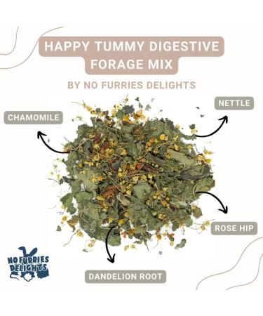 No Furries Delights 30g Happy Tummy Foraging Mix 100% Oraganic & All Natural Botanical Herb Mix for Rabbit Hamster Guinea Pig Chinchilla Chicken Hermit Crab (1 Pack Happy Tummy Forage Mix) Happy Tummy Forage Mix 30 g (Pack of 1) - Buy Online on GoSupps.com