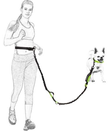 Mile High Life | Retractable Hands Free Dog Leash | Waist Running Adjustable | Reflective Dual Bungees | Dual Handles | Small Medium Large Dogs | (Purple) 7 Foot (Pack of 1) Waist Running-Purple - Buy Online on GoSupps.com