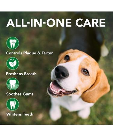 Vet's Best Enzymatic Dog Toothpaste - Dental Care Gel for Clean Teeth & Fresh Breath - Buy Online on GoSupps.com