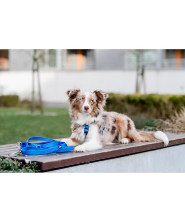 Chaba Guard Dog Harness for Large Dogs - Anti-Choke Adjustable & Lightweight Blue Step-In Harness | Perfect for Running & Training - Buy Online on GoSupps.com