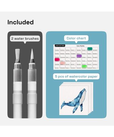 ARTISTRO Watercolor Brush Pens Set - 48 Vibrant Colors + 2 Water Brushes | Real Brush Tips for Artists, Adults, Illustrations, Calligraphy & Watercolor Effects - Buy Online on GoSupps.com