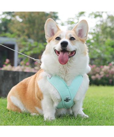 Shop No-Pull Dog Harness for Small Dogs | Reflective & Soft Harness with Leash - Green - Premium Safety Tableware - Buy Online on GoSupps.com