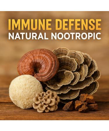 Me First Living Mushroom Complex Supplement 10 in 1 with Lions Mane, Cordyceps, Turkey Tail, Reishi, and More. High Strength Nootropic Brain Supplements for Memory & Focus - Lions Mane Supplement - Buy Online on GoSupps.com