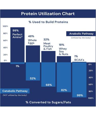 BodyHealth PerfectAmino (300 ct) Easy to Swallow Tablets, Essential Amino Acids Supplement with BCAAs, Vegan Protein for Pre/Post Workout & Muscle Recovery with Lysine, Tryptophan, Leucine, Methionine 60 Servings (Pack of 1) - Buy Online on GoSupps.com