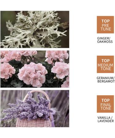 Ginger Conditioner 500ml Smoothing & Strengthening Conditioner against Hair Breakage Reduces Frizz and Provides Intensive Hydration For Soft & Shiny Hair - Buy Online on GoSupps.com