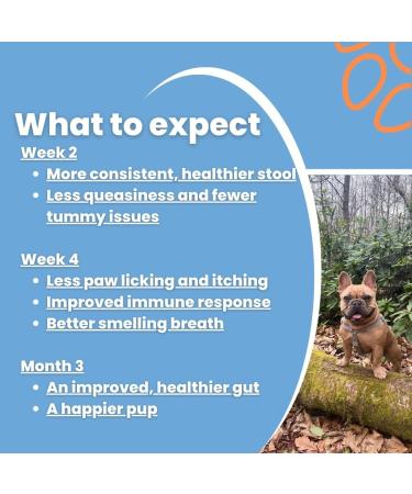 TJ Pro Digestive Probiotics for Dogs | Sensitive Stomachs, Skin Issues, Wind Relief | Prebiotic, Probiotic & Enzymes for Gut Health | Made in UK - Buy Online on GoSupps.com
