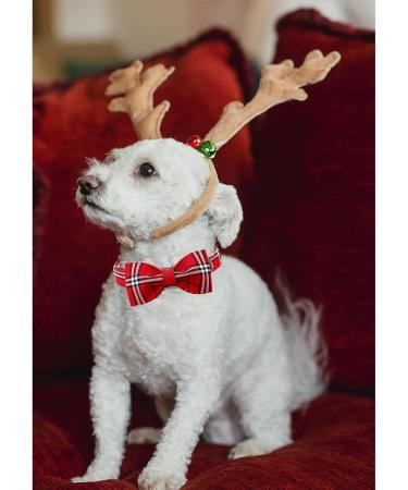 Shop Lionheart Glory Christmas Checkered Dog Collar - Comfortable Loop Collar for Big Dogs - X-Large - Perfect Holiday Gift for Boys & Girls - Buy Online on GoSupps.com