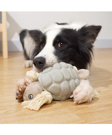 Sedioso Large Breed Dog Chew Toy - Tough Dental Chew for Aggressive Chewers - Teeth Cleaning Turtle Toy for Medium to Large Dogs (Grey) - Buy Online on GoSupps.com