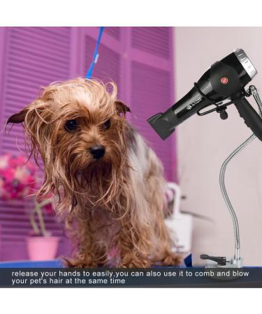 Hair Dryer Stand Holder - Stainless 360 Rotating Suction Holder for Glass Surfaces | Hands-Free Blow Dryer Stand - Buy Online on GoSupps.com