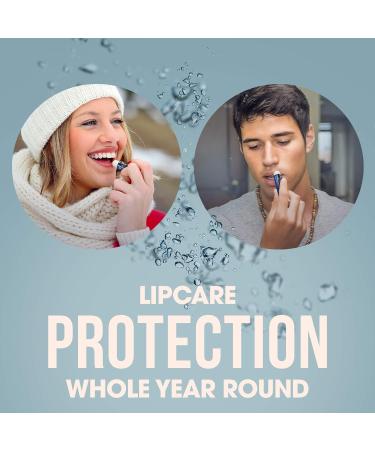 ChapStick Moisturizer Original Lip Balm Tubes SPF 15 0.15 Oz (Pack of 12) - Skin Protectant - Buy Online on GoSupps.com