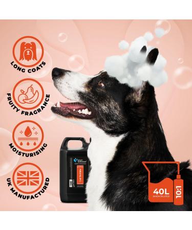 GROOM PROFESSIONAL Coat Revitalise Dog Conditioner 4L - Adds Shine and Body - For Dry & Dull Coat - Renewing Formula - Buy Online on GoSupps.com