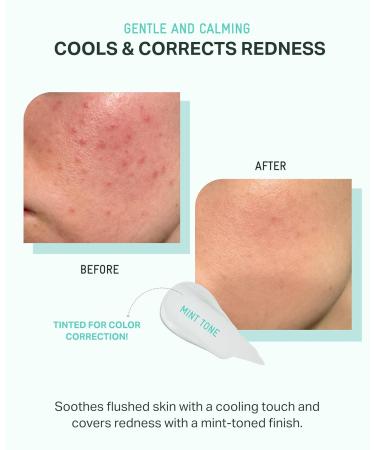 BRING GREEN Tea Tree CICA Facial Sun Cushion SPF 50+ PA++++ | Korean Mineral Sunscreen for Face | Non-Nano Reef-Safe Redness Correcting with Zinc Oxide | Travel Size Sun Protection - Buy Online on GoSupps.com