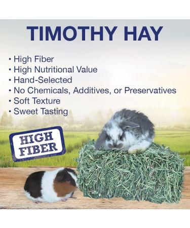 Grandpa's Best Timothy Hay Bale 10lb - Premium Quality for Small Pets - Buy Online on GoSupps.com