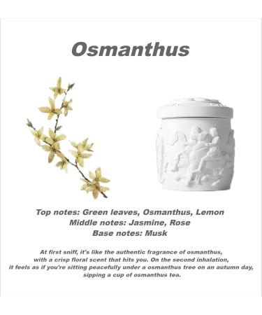 Osmanthus Fragrance | Luxury Soy Aromatherapy Candle for Home Decor & Relaxation | Highly Scented 10% Essential Oil - Shop Internationally - Buy Online on GoSupps.com