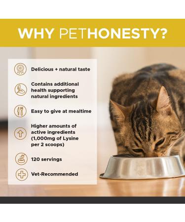 PetHonesty Immune Health Lysine Supplement Powder for Cats - Cat Allergy Relief - Omega 3s & L-Lysine - Chicken & Fish Flavor - Buy Online on GoSupps.com