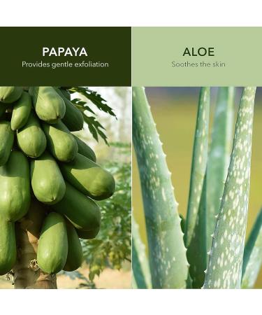 Plant Apothecary Cloud Break Enzyme Face Cleaner 6.8oz - Aloe & Vitamin B5 Infused Cleansing Wash for Men's & Women's Skin Care - Refreshing Pineapple & Papaya Formula - Buy Online on GoSupps.com