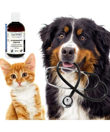 ULMOSAN Slippery Elm Bark Tincture for Dogs & Cats | Vita Natura 100ml - Ready to Use Supports Digestive Health - Buy Online on GoSupps.com