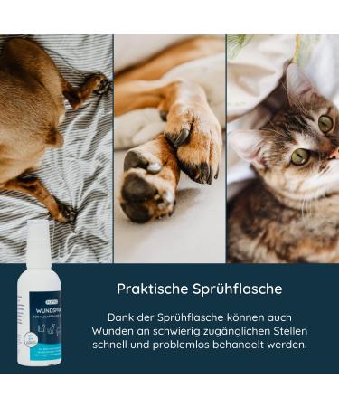 Flexeo Wound Spray for Dogs & Cats - 75ml - Effective Wound Cleaning Spray for All Animals - Buy Online on GoSupps.com