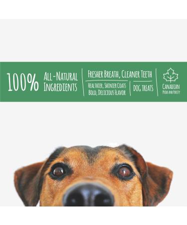 Norpur Pig Ears All-Natural Dog Treats (10-Count) Canadian Made Slow-Roasted Oven-Baked Boneless | Promote Healthy Shiny Coats | Help Clean Teeth Prevent Bad Breath - Buy Online on GoSupps.com