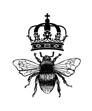 Facial Cocktail Serum | Anti-Aging Antioxidant Rich Skin Cell Regeneration - 1fl oz | International Shipping Available - Buy Online on GoSupps.com