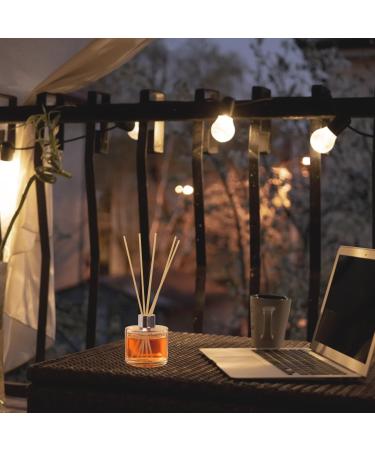 50 Natural Rattan Fragrance Sticks - 20cm x 3mm Reed Diffuser Sticks for Home & Office Aromatherapy - Buy Online on GoSupps.com