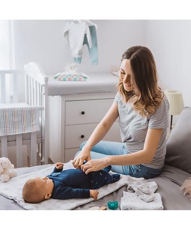 Entyle Portable Wet Wipe Pouch 3-Pack - Eco-Friendly Reusable Baby Wipe Dispenser for Travel - Pink - Buy Online on GoSupps.com