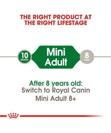 ROYAL CANIN 8kg Mini Adult Dry Dog Food - Buy Online on GoSupps.com