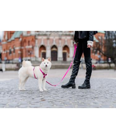 CHABA Medium Dog Harness - Anti-Pull Adjustable & Comfortable Step-In Design for Running - Classic Control Harness in Fuchsia & Pink - Buy Online on GoSupps.com