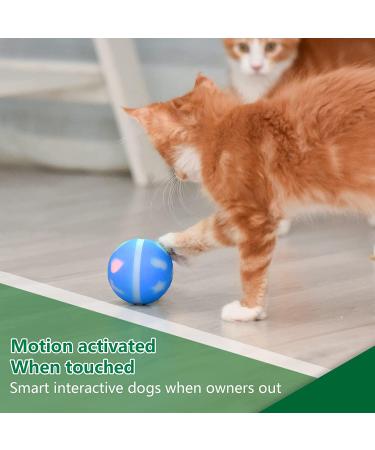 AUKL Interactive Dog Toy | Wicked Ball - Self Moving & Motion Activated - Buy Online on GoSupps.com