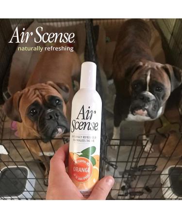 Citra Solv Air Scense Essential Oil Air Freshener, Non-Aerosol, 7 Ounce, 4 Pack (Orange) - Buy Online on GoSupps.com