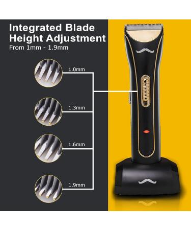 Galan Men's Cordless Beard Trimmer Kit - 4 Combs for Beard Mustache & Face | Premium Grooming Tool for Men - International Shipping Available - Buy Online on GoSupps.com