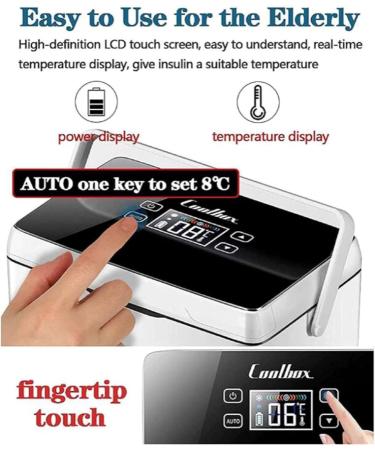 BYERZ BYERZ LED Display Mini-cool Box Car Cooling Box Cool Box Electrical Insulin Cooling Bag Car Refrigerator Diabetes Bag Medication Cooling Box Cool Box Small Medication Fridge 1 Battery - Buy Online on GoSupps.com