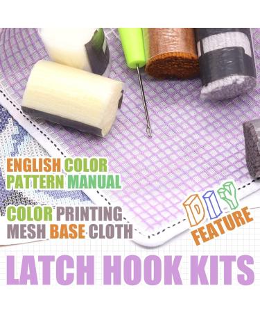 Ebulous DIY Latch Hook Rug Kit - Sleeping Cat Design for Home Decor - Adults & Kids Craft Set with Pre-Printed Canvas - 20.5 x 15in - Buy Online on GoSupps.com