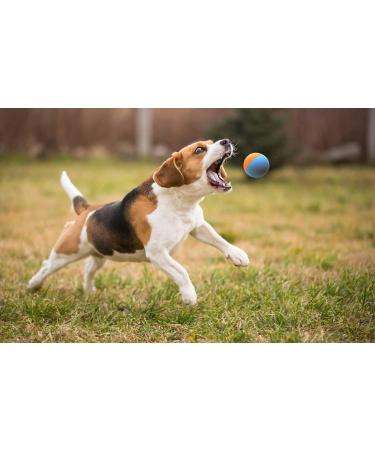 Snug Rubber Dog Balls for Small and Medium Dogs of all Breeds - Tennis Ball Size - Virtually Indestructible (3 Pack - Original) - Buy Online on GoSupps.com