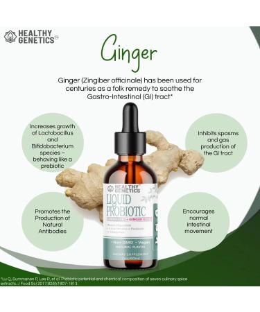 Liquid Probiotics for Women Men & Kids | Prebiotic +Ginger + Probiotics for Digestive Health | Acidophilus Probiotic | Dairy Free | Vegan | Non-GMO | Gluten Free | 30 Servings - Buy Online on GoSupps.com