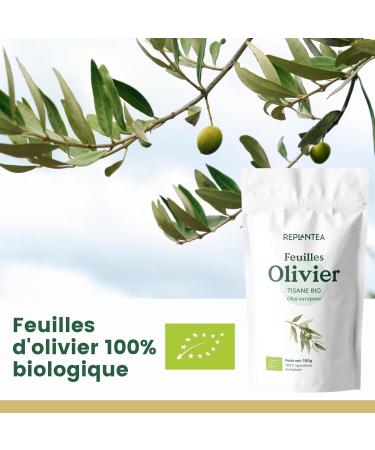 FEUILLE D'OLIVIER BIO 100g | Tisane de Feuilles d'olivier | Olivier Feuilles Coup es REPLANTEA - Buy Online on GoSupps.com