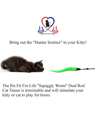 Pet Fit For Life Cat Toy - 5 Piece Worms Teaser and Exerciser for Interactive Play with Cat and Kitten - Buy Online on GoSupps.com